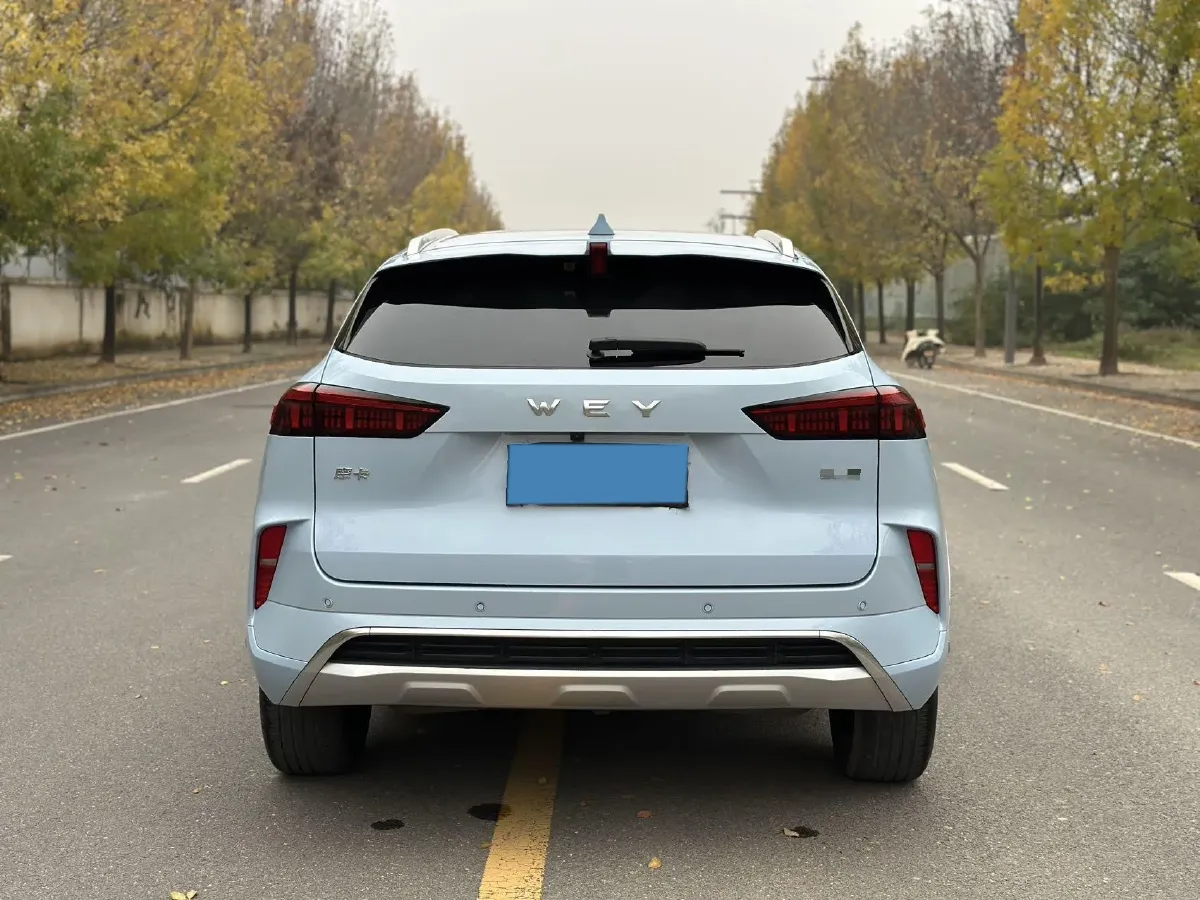 2021 WEY Mocha 2.0T 214HP L4 9DCT,autocango,china used car exporter,china ev exporter,chinese used car exporter,chinese used ev exporter