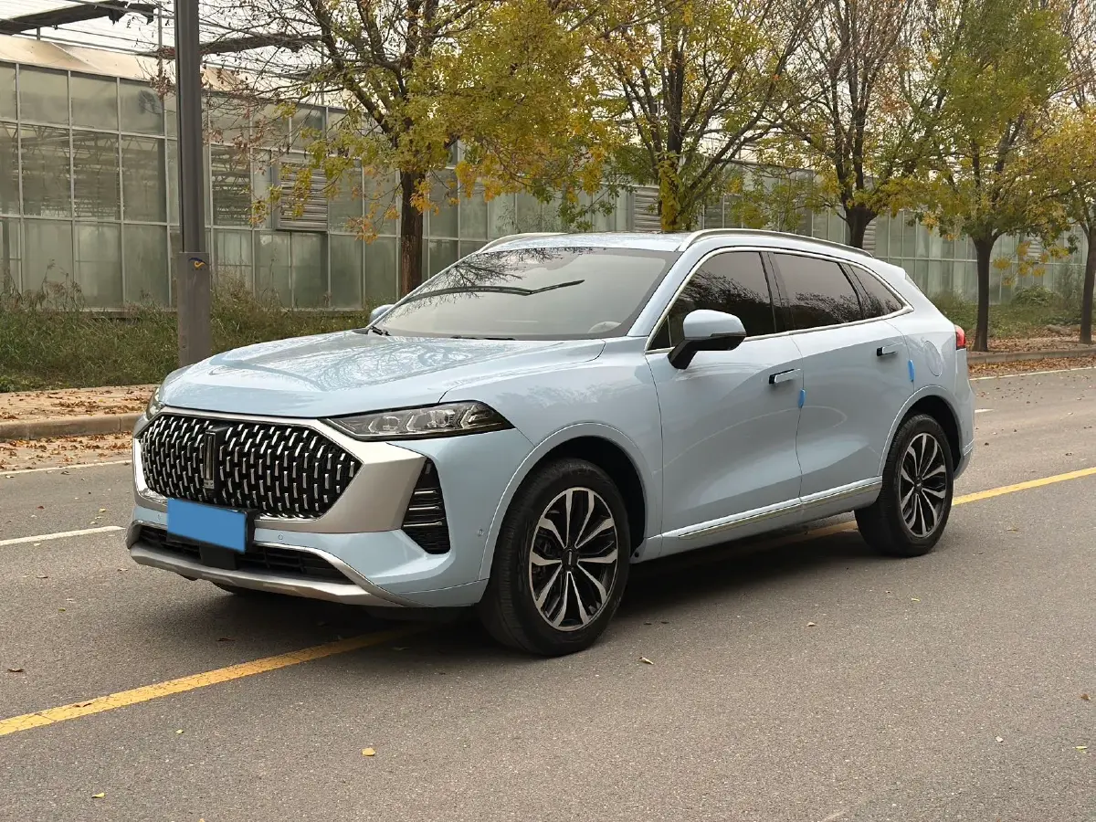 2021 WEY Mocha 2.0T 214HP L4 9DCT