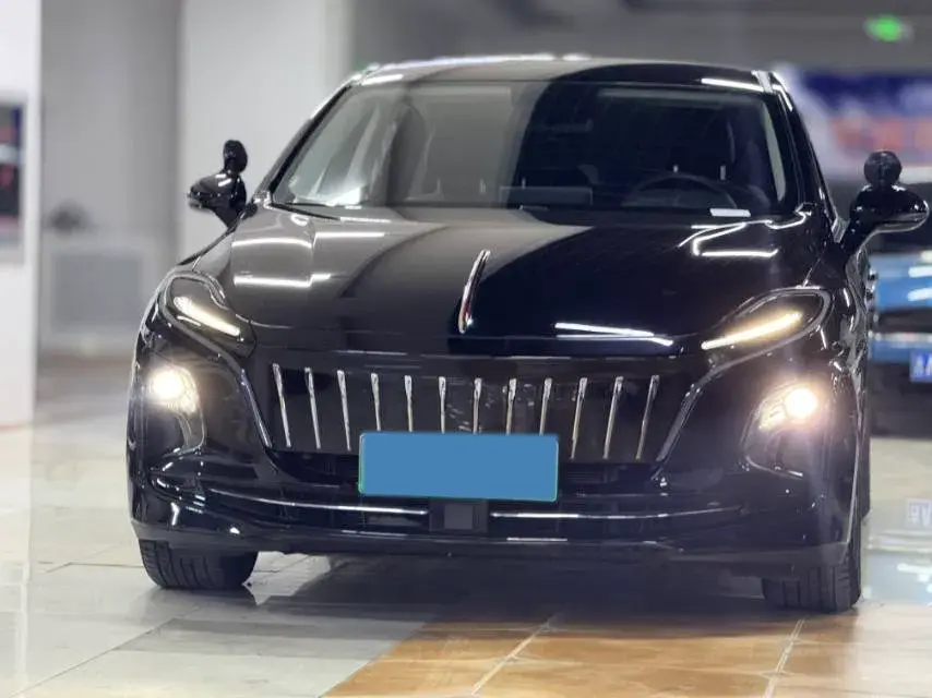 2024 HONGQI E-QM5 thumbnail 2