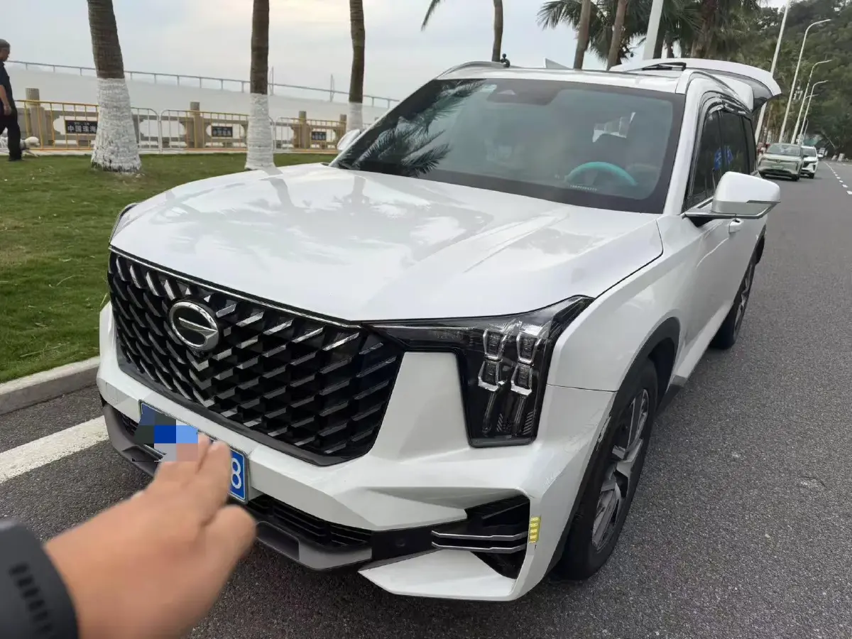 2022 GAC Trumpchi GS8 2.0T 252HP L4 8AT