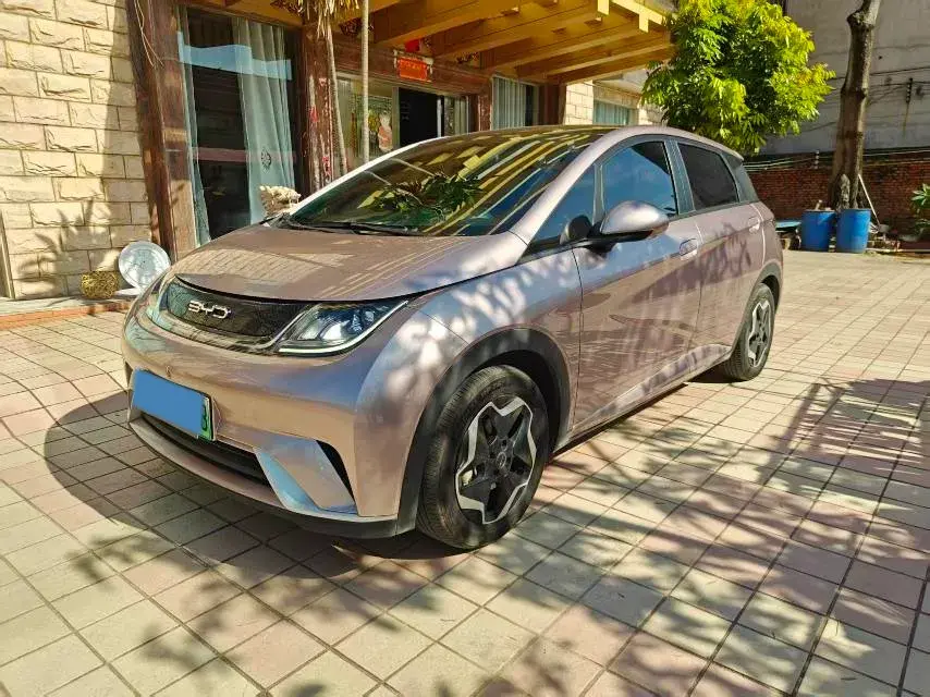 2021 BYD Dolphin BEV 44.9KWH