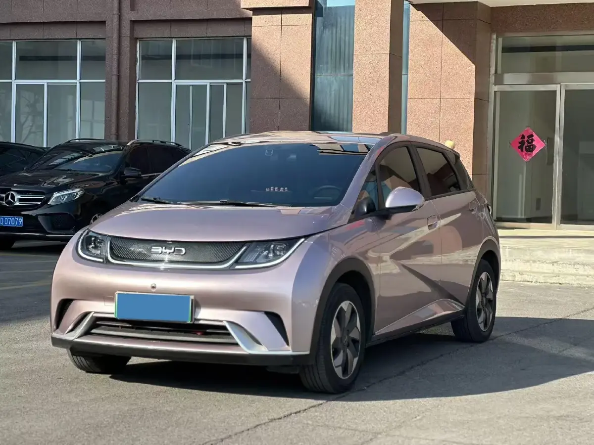 2024 BYD Dolphin BEV 44.928KWH
