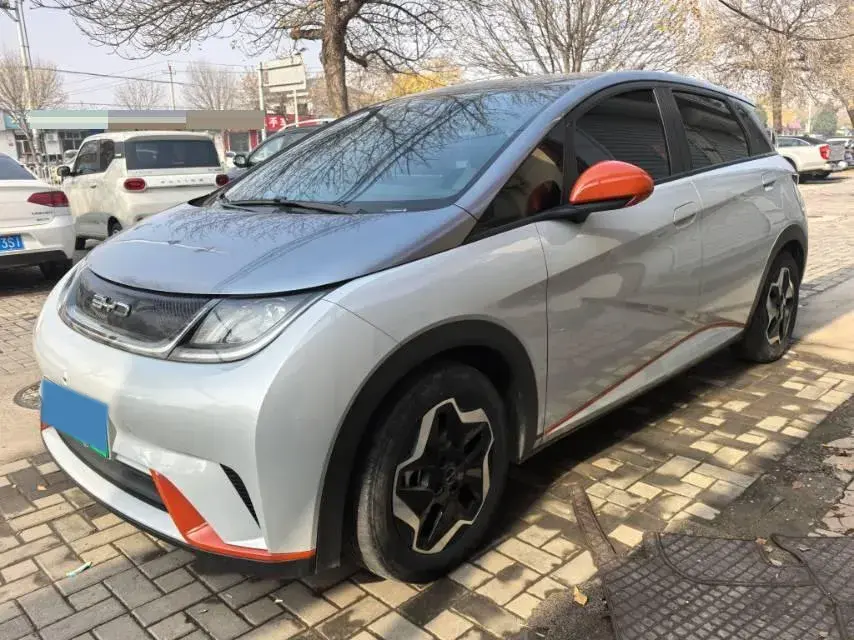 2021 BYD Dolphin BEV 44.9KWH