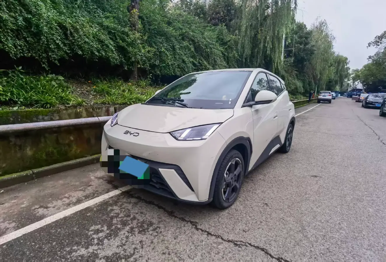 2024 BYD Seagull BEV 38.88KWH