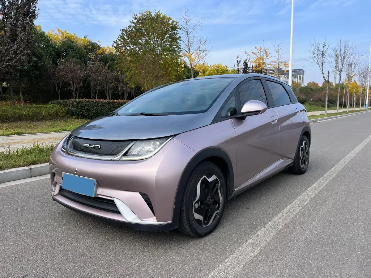 2021 BYD Dolphin BEV 44.9KWH