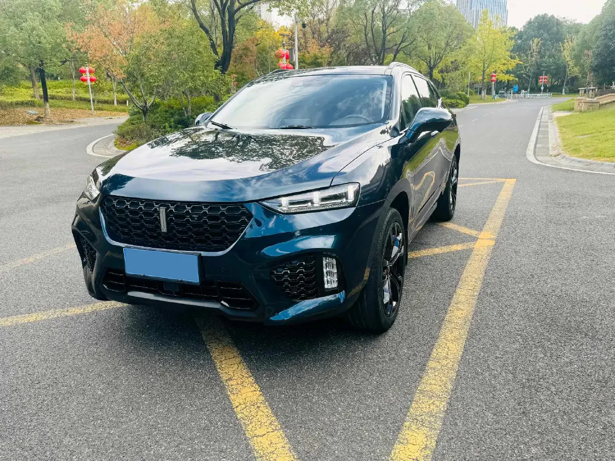 2019 WEY VV7 2.0T 227HP L4 7DCT