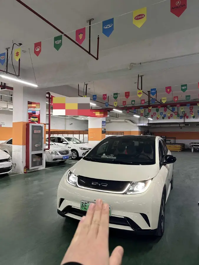 2023 BYD Dolphin BEV 44.928KWH