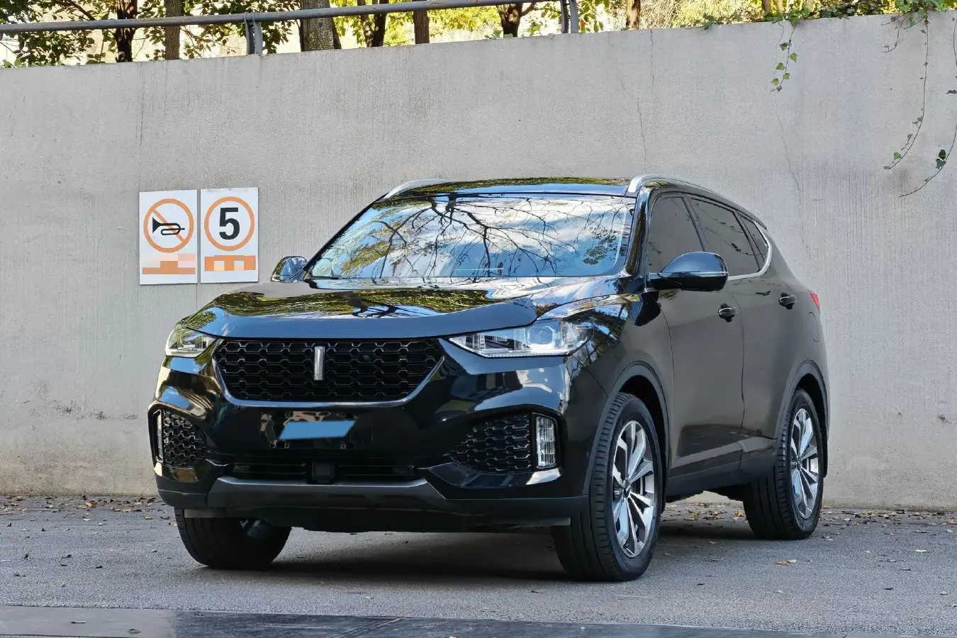 2018 WEY VV6 2.0T 197HP L4 7DCT