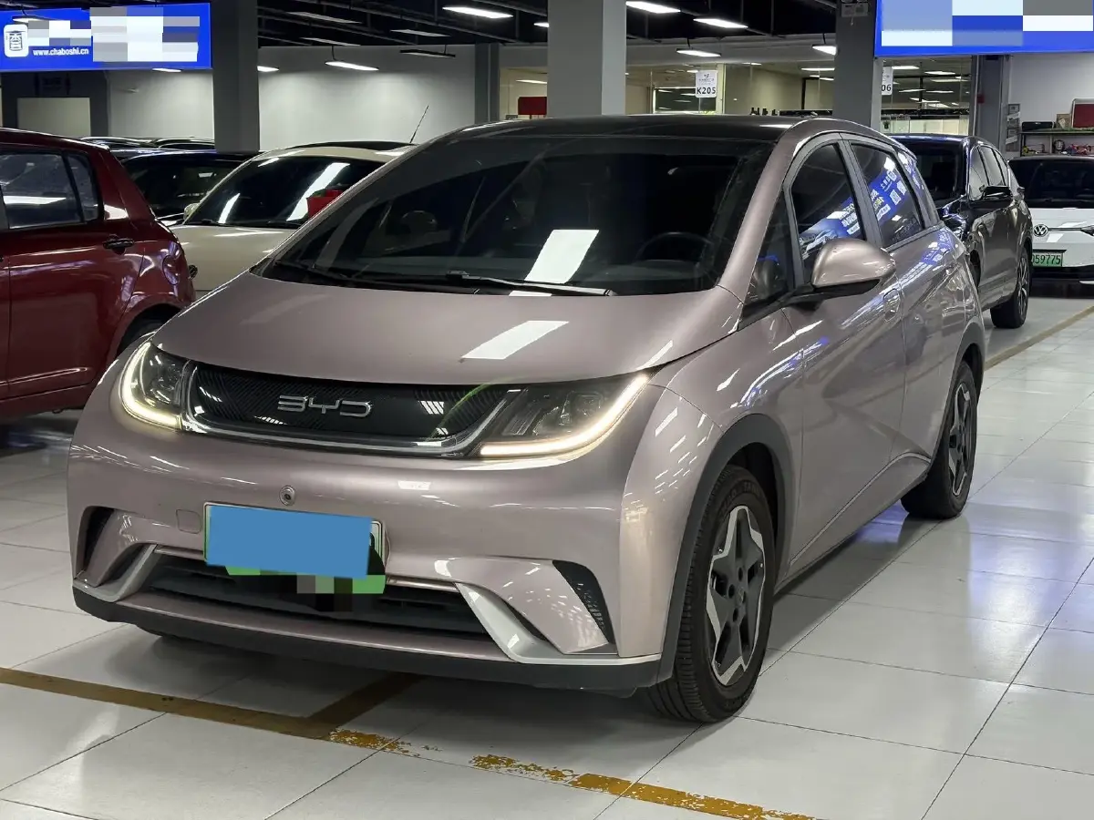 2021 BYD Dolphin BEV 44.9KWH