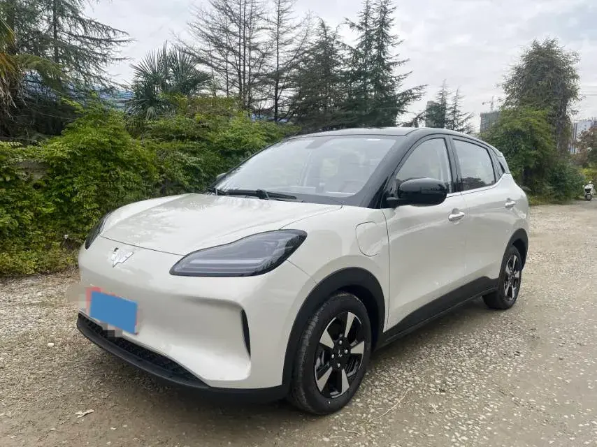 2025 WuLing BinGuo S BEV