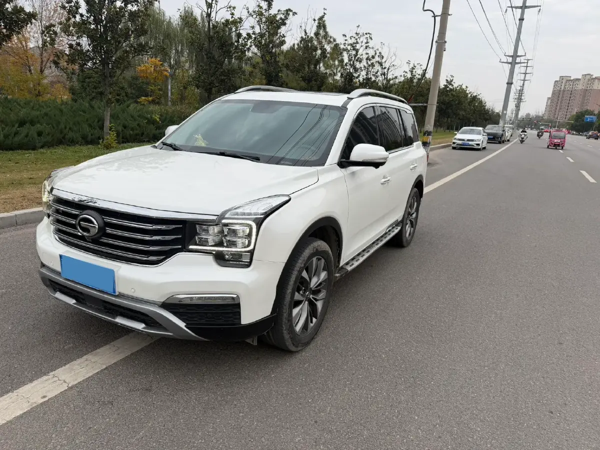 2019 GAC Trumpchi GS8 2.0T 252HP L4 6AT