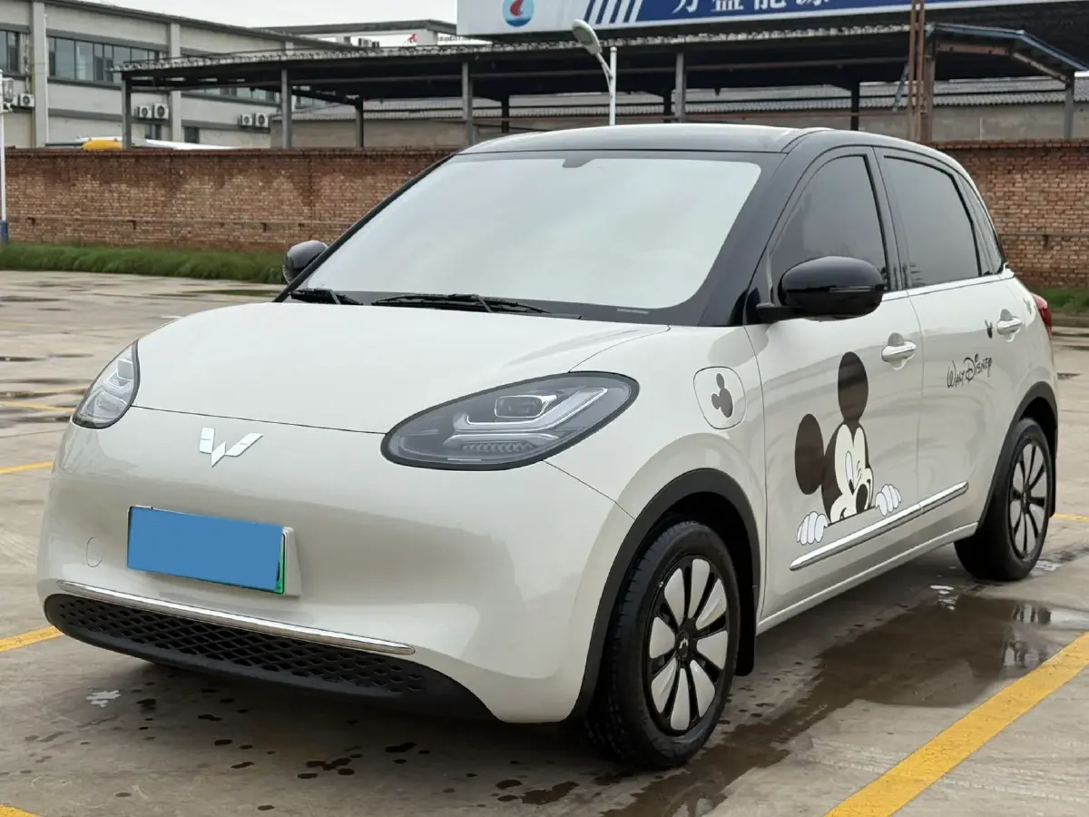 2023 WuLing BinGuo BEV 31.9KWH