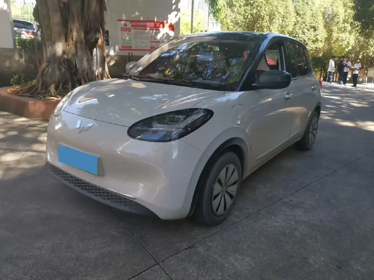 2025 WuLing BinGuo BEV