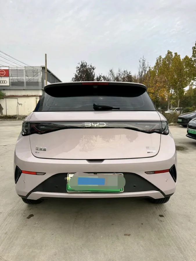 2025 BYD Dolphin BEV 45.12KWH,autocango,china used car exporter,china ev exporter,chinese used car exporter,chinese used ev exporter