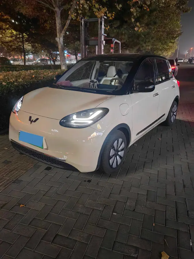 2024 WuLing BinGuo BEV 31.9KWH