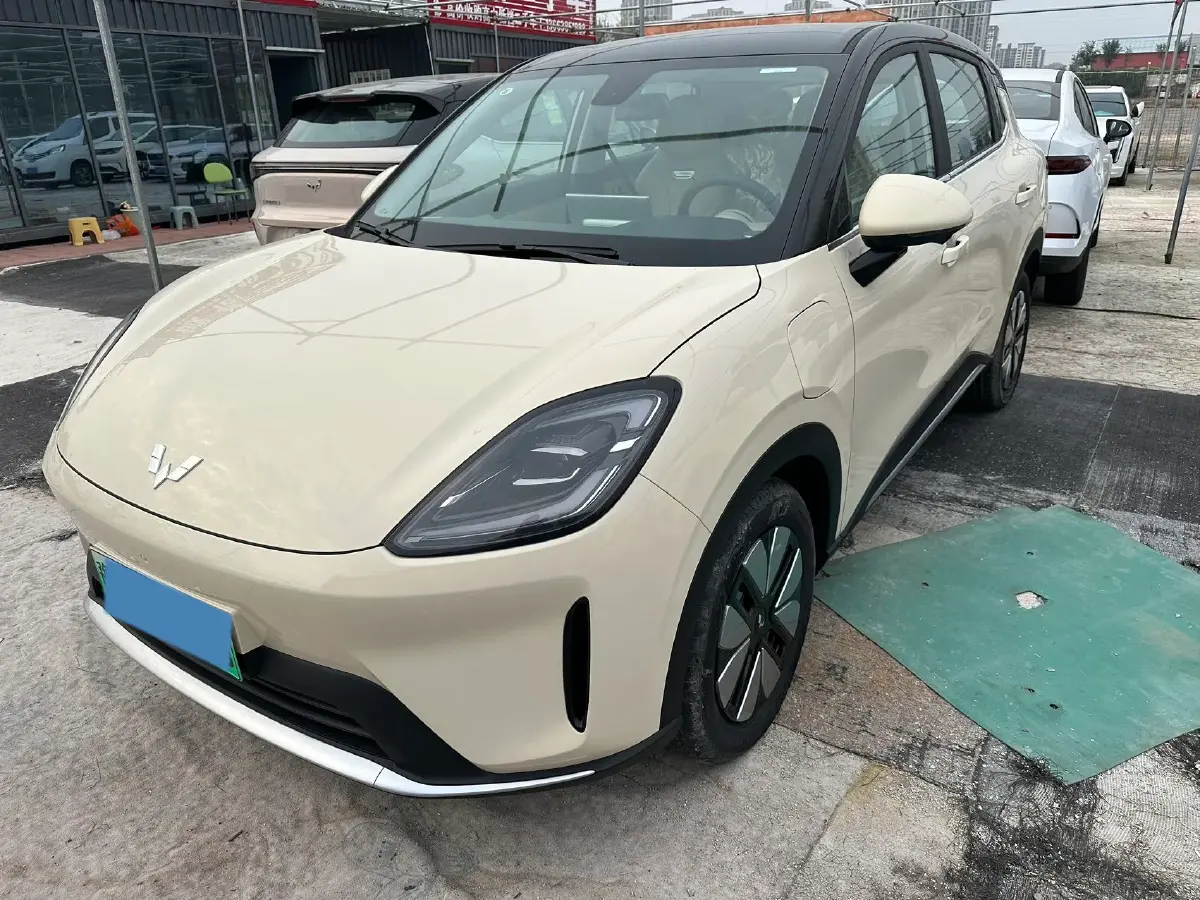 2025 WuLing BinGuo S BEV