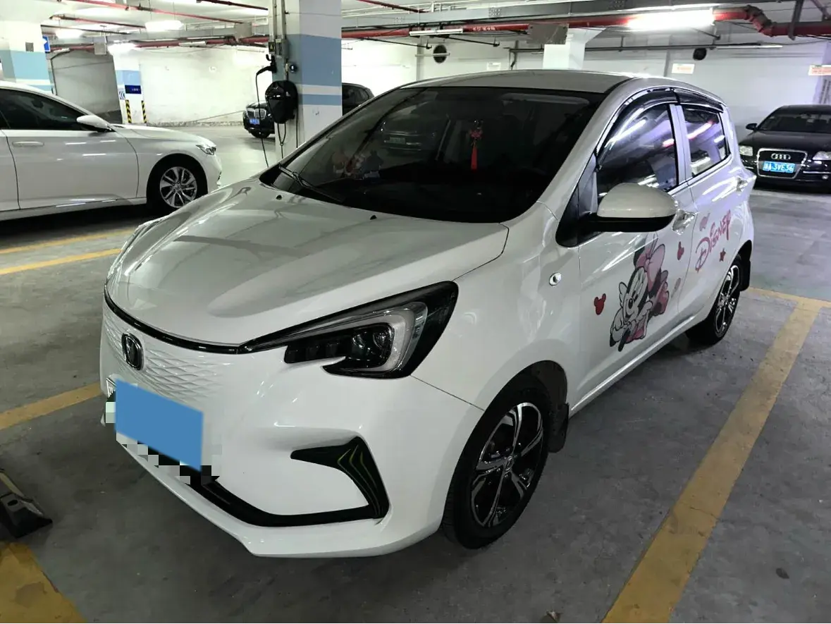 2020 ChangAn BenBen E-Star BEV 32.2KWH