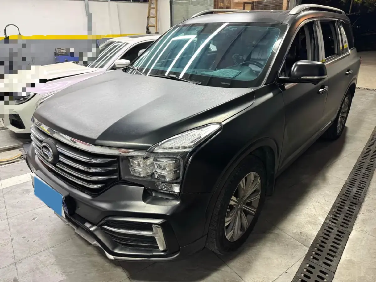 2020 GAC Trumpchi GS8 2.0T 252HP L4 6AT