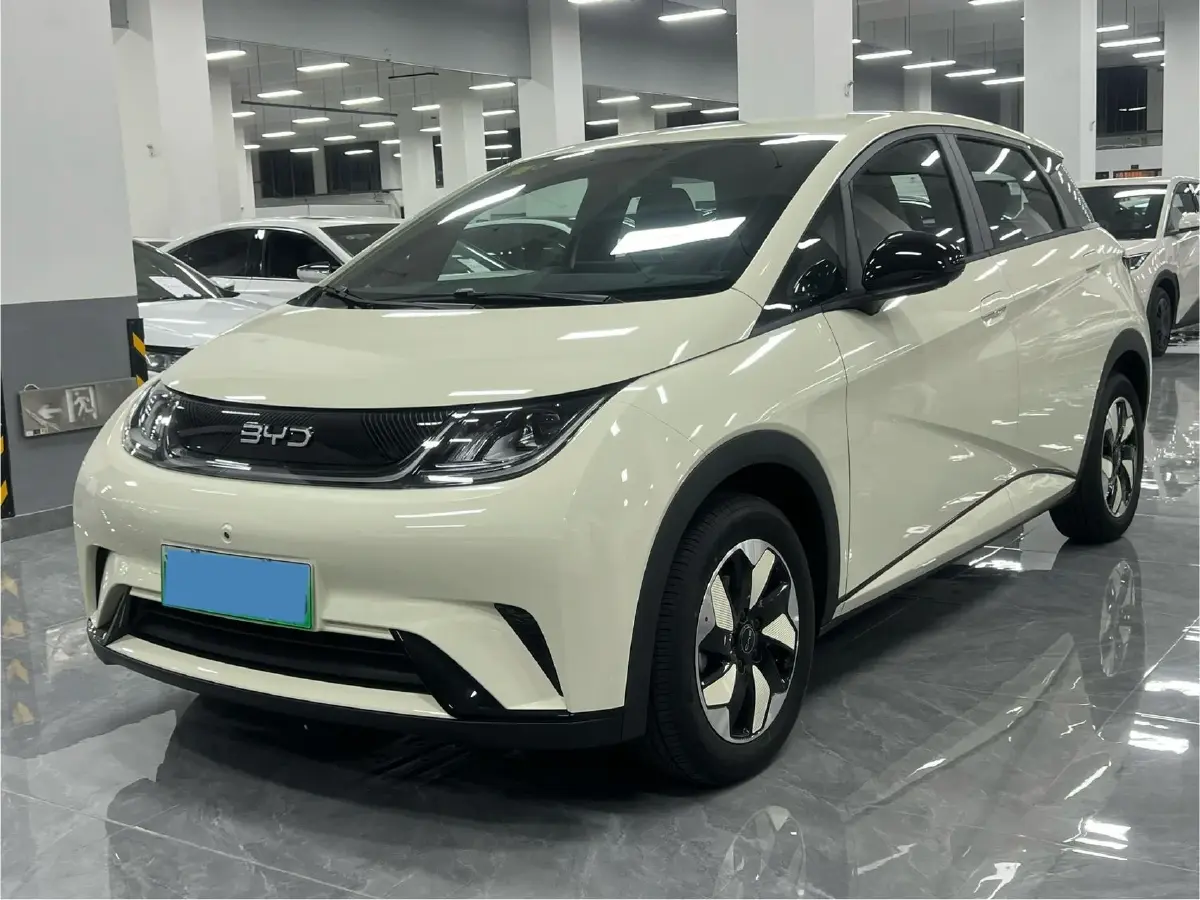 2025 BYD Dolphin BEV 44.928KWH