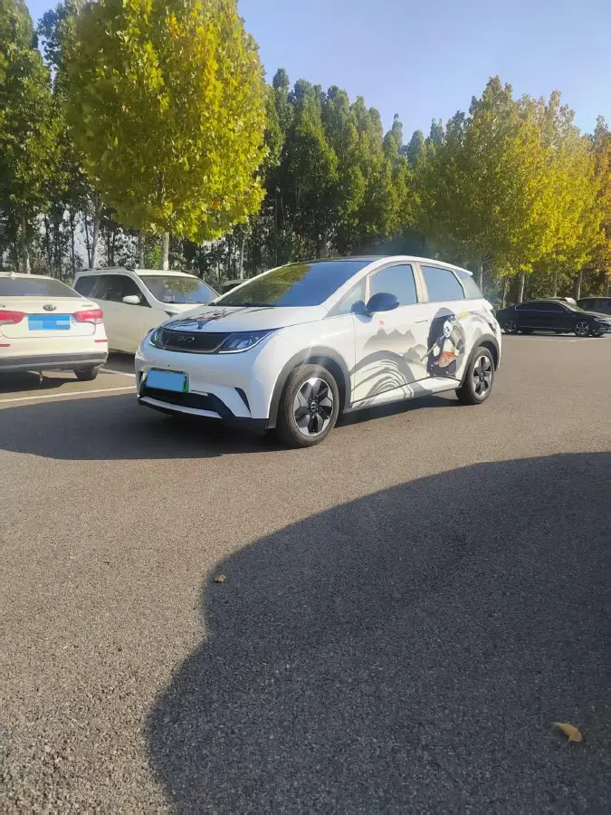 2025 BYD Dolphin BEV 44.928KWH