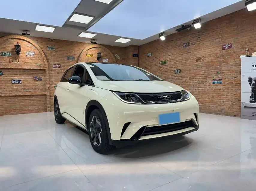 2021 BYD DOLPHIN thumbnail 3