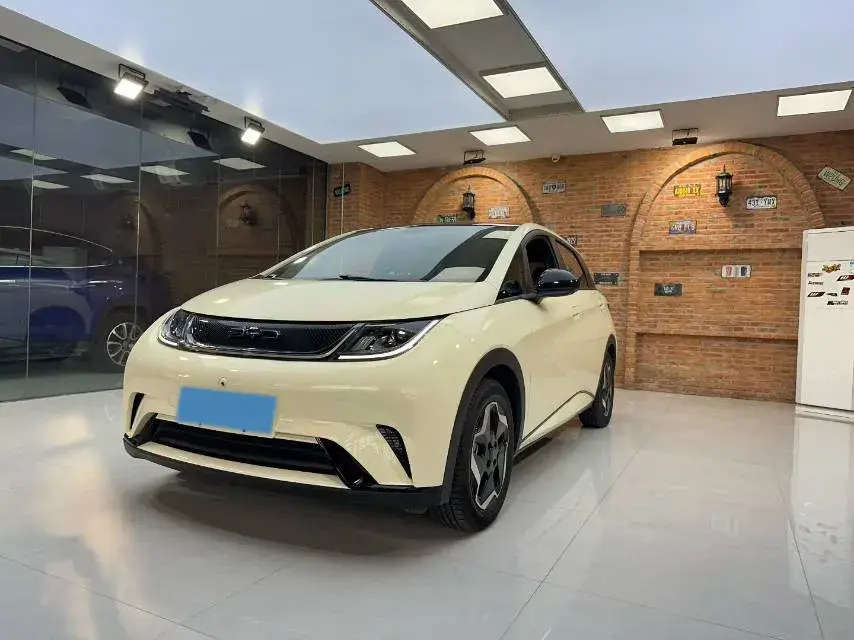 2021 BYD DOLPHIN view 1