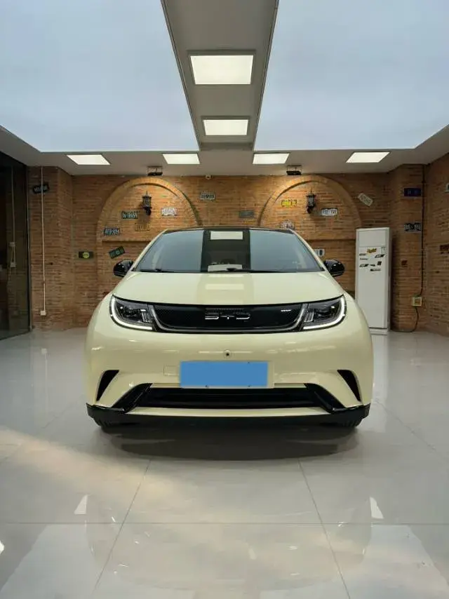 2021 BYD DOLPHIN thumbnail 2