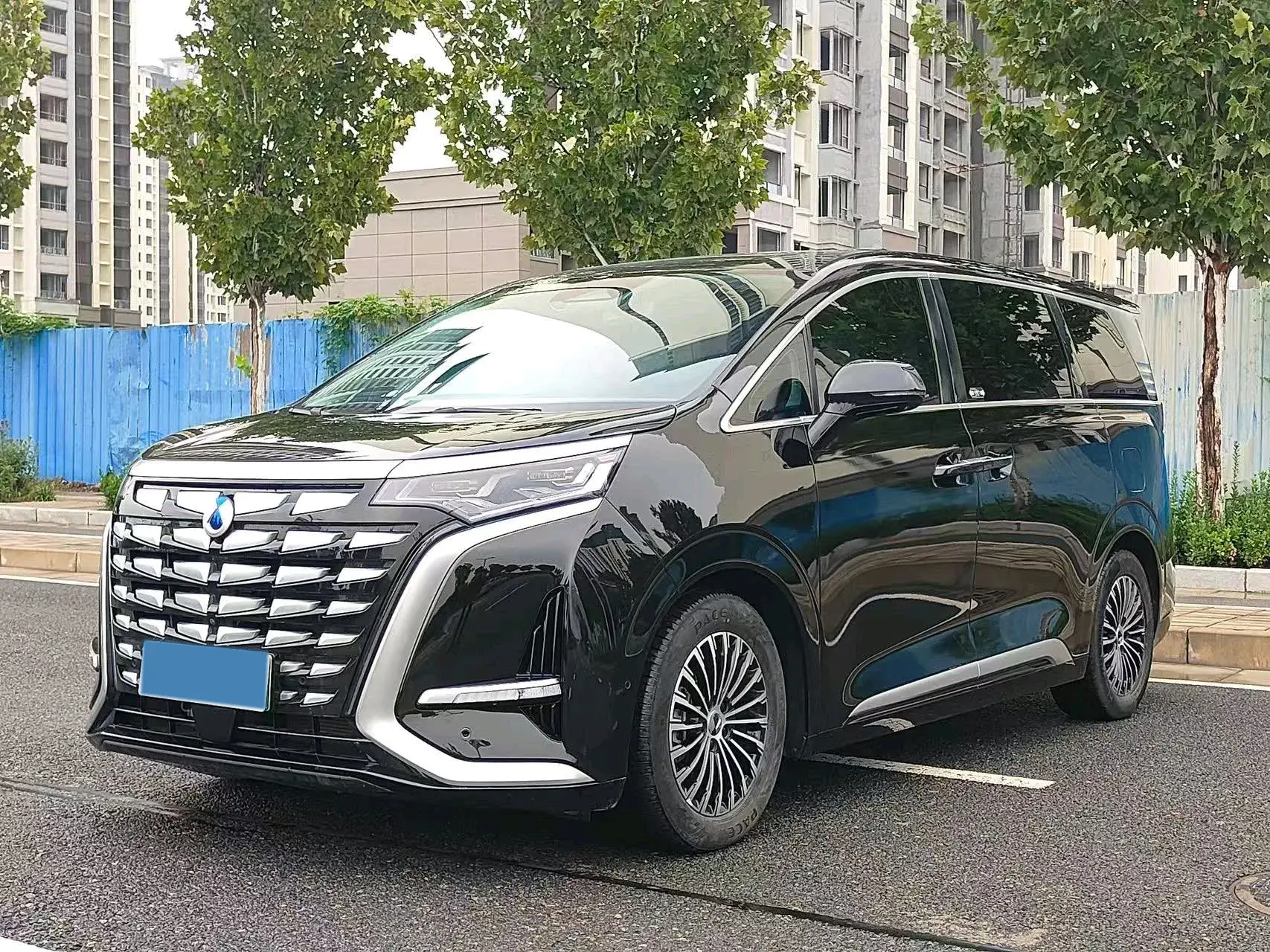 2024 DENZA D9 view 1