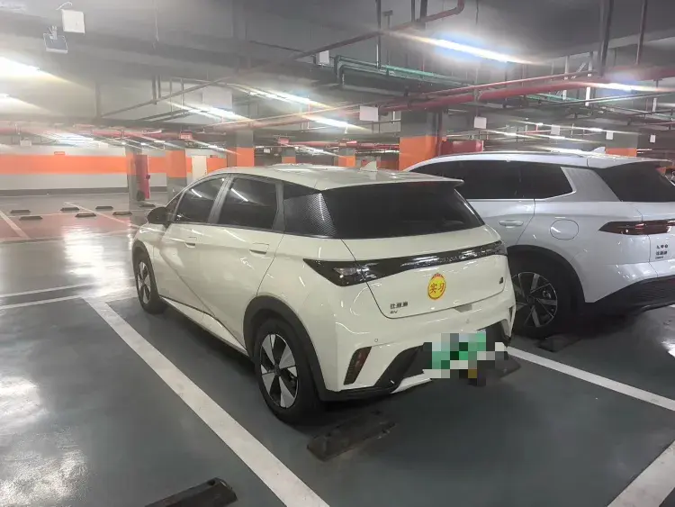 2023 BYD DOLPHIN thumbnail 2