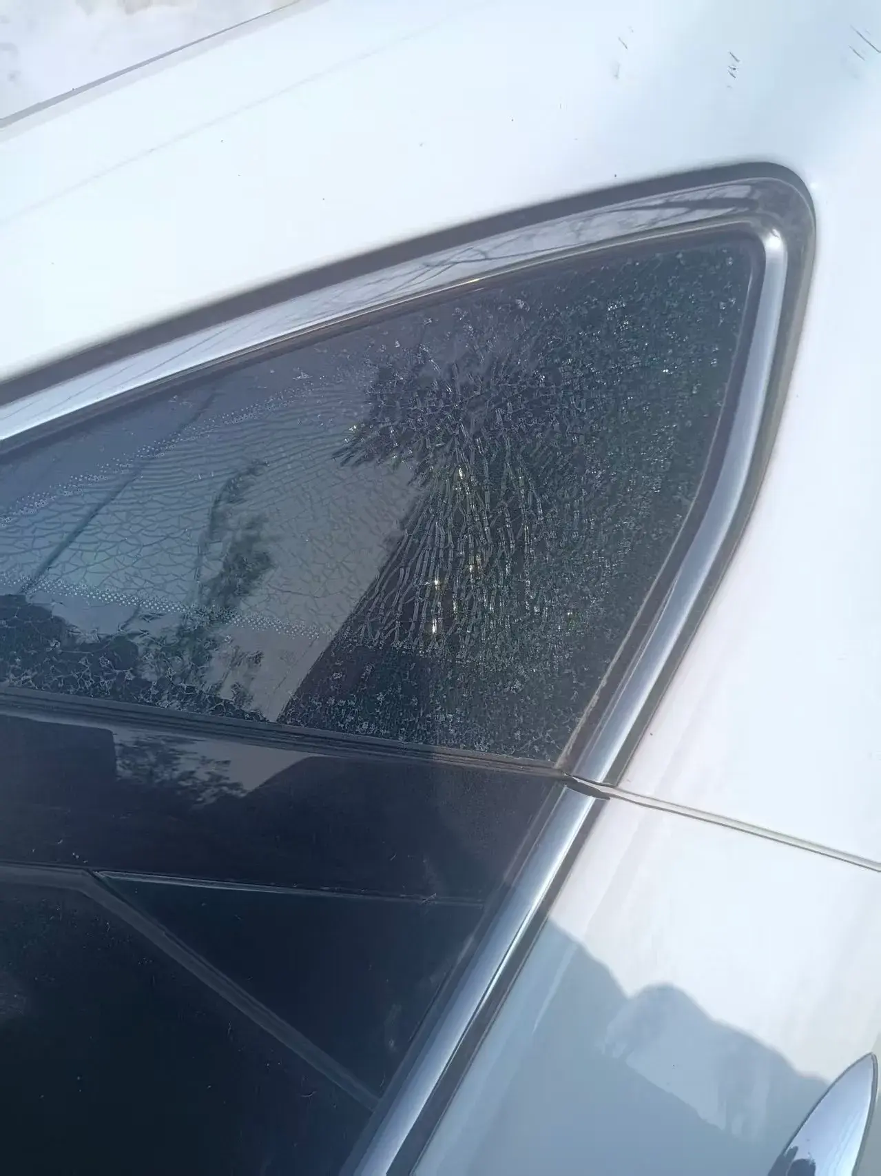 2023 VOLKSWAGEN SAGITAR thumbnail 3