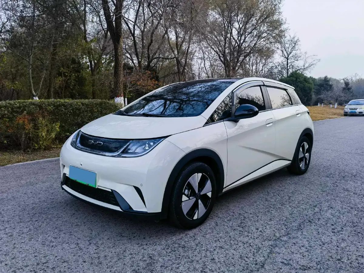2023 BYD Dolphin BEV 44.928KWH