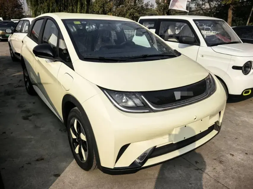 2025 BYD DOLPHIN thumbnail 2