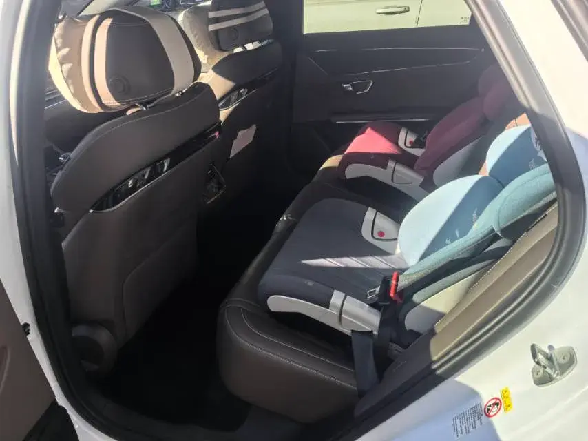 2020 BYD HAN thumbnail 4