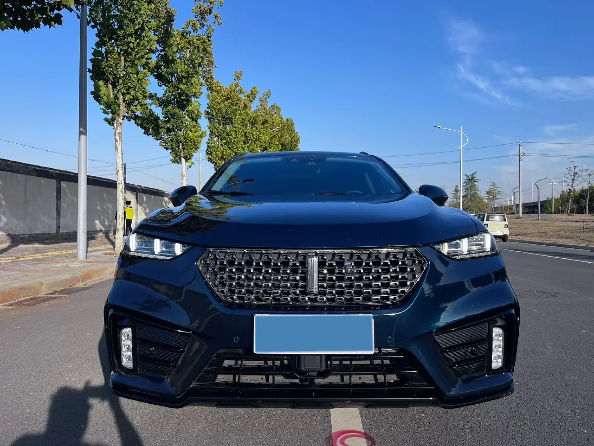 2020 WEY VV7 2.0T 227HP L4 7DCT,autocango,china used car exporter,china ev exporter,chinese used car exporter,chinese used ev exporter