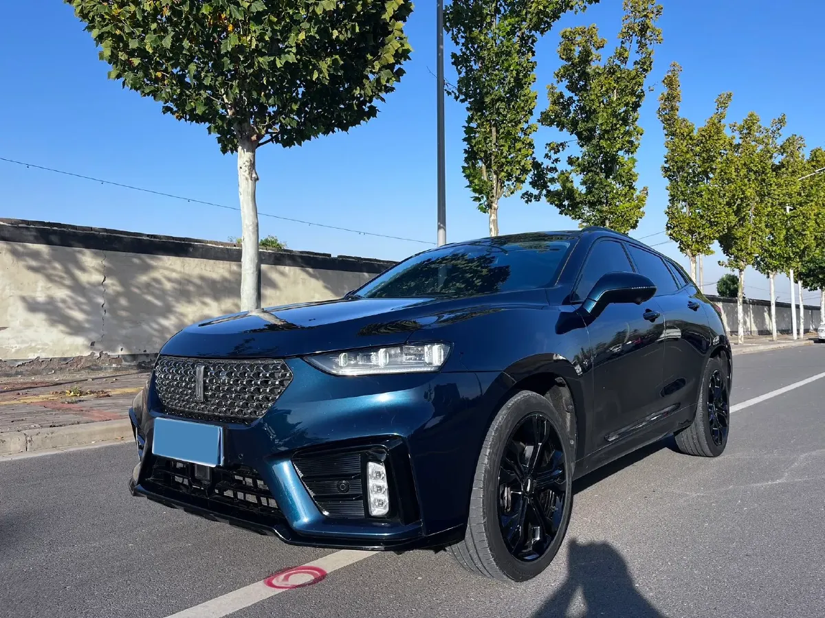 2020 WEY VV7 2.0T 227HP L4 7DCT,autocango,china used car exporter,china ev exporter,chinese used car exporter,chinese used ev exporter