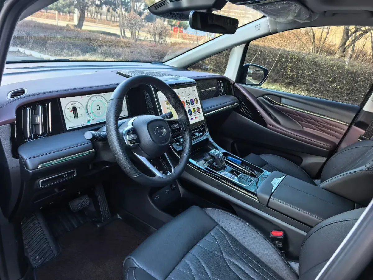 2024 GAC Trumpchi M8 2.0T 252HP L4 8AT,autocango,china used car exporter,china ev exporter,chinese used car exporter,chinese used ev exporter