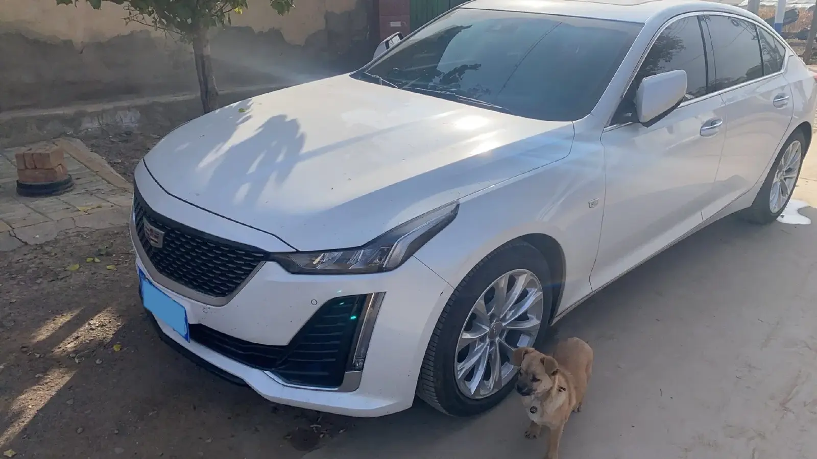 2023 Cadillac CT5 2.0T 237HP L4 10AT