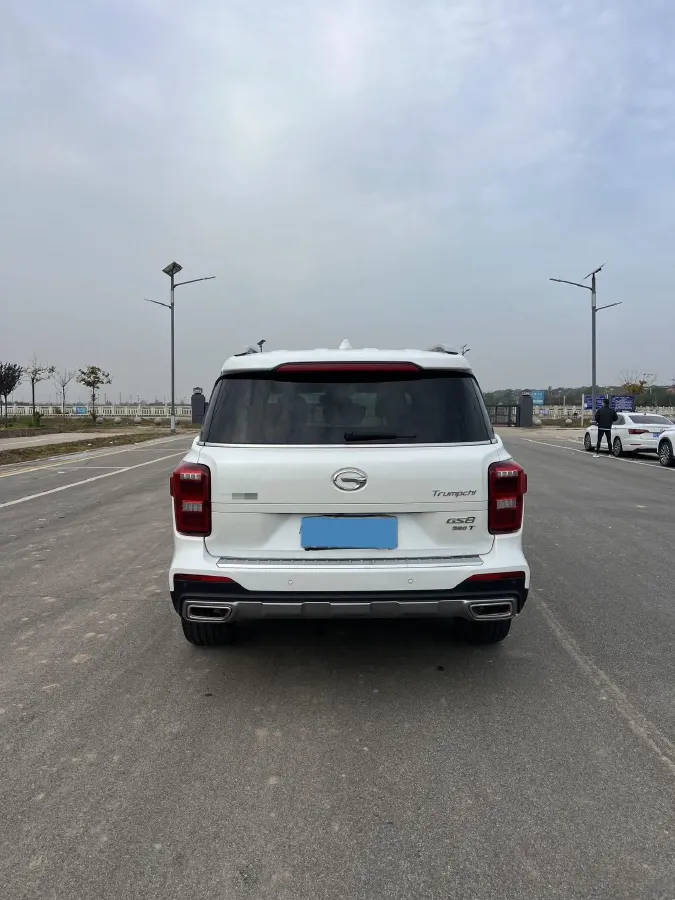 2021 GAC Trumpchi GS8 2.0T 252HP L4 6AT,autocango,china used car exporter,china ev exporter,chinese used car exporter,chinese used ev exporter