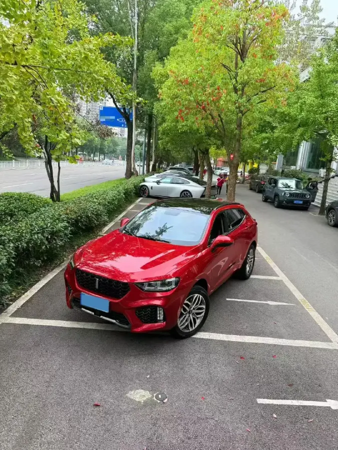 2017 WEY VV5 2.0T 197HP L4 7DCT