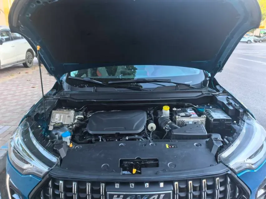 2021 Haval Rabbit 1.5T 184HP L4 7DCT,autocango,china used car exporter,china ev exporter,chinese used car exporter,chinese used ev exporter