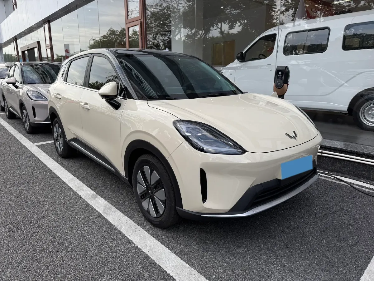 2025 WuLing BinGuo S BEV,autocango,china used car exporter,china ev exporter,chinese used car exporter,chinese used ev exporter