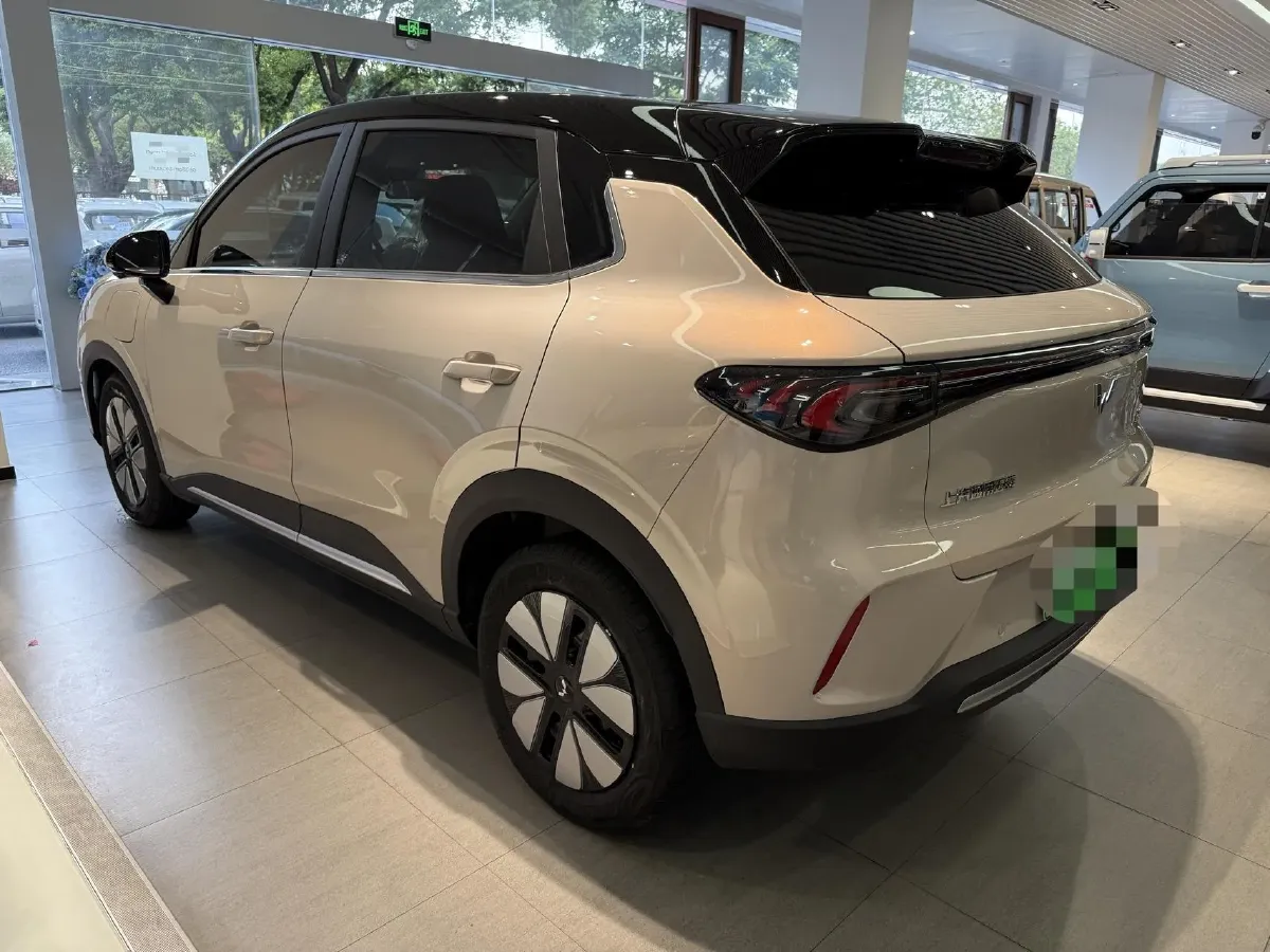 2025 WuLing BinGuo S BEV,autocango,china used car exporter,china ev exporter,chinese used car exporter,chinese used ev exporter
