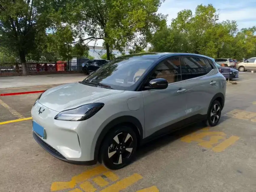 2024 WuLing BinGuoPLUS BEV 50.6KWH