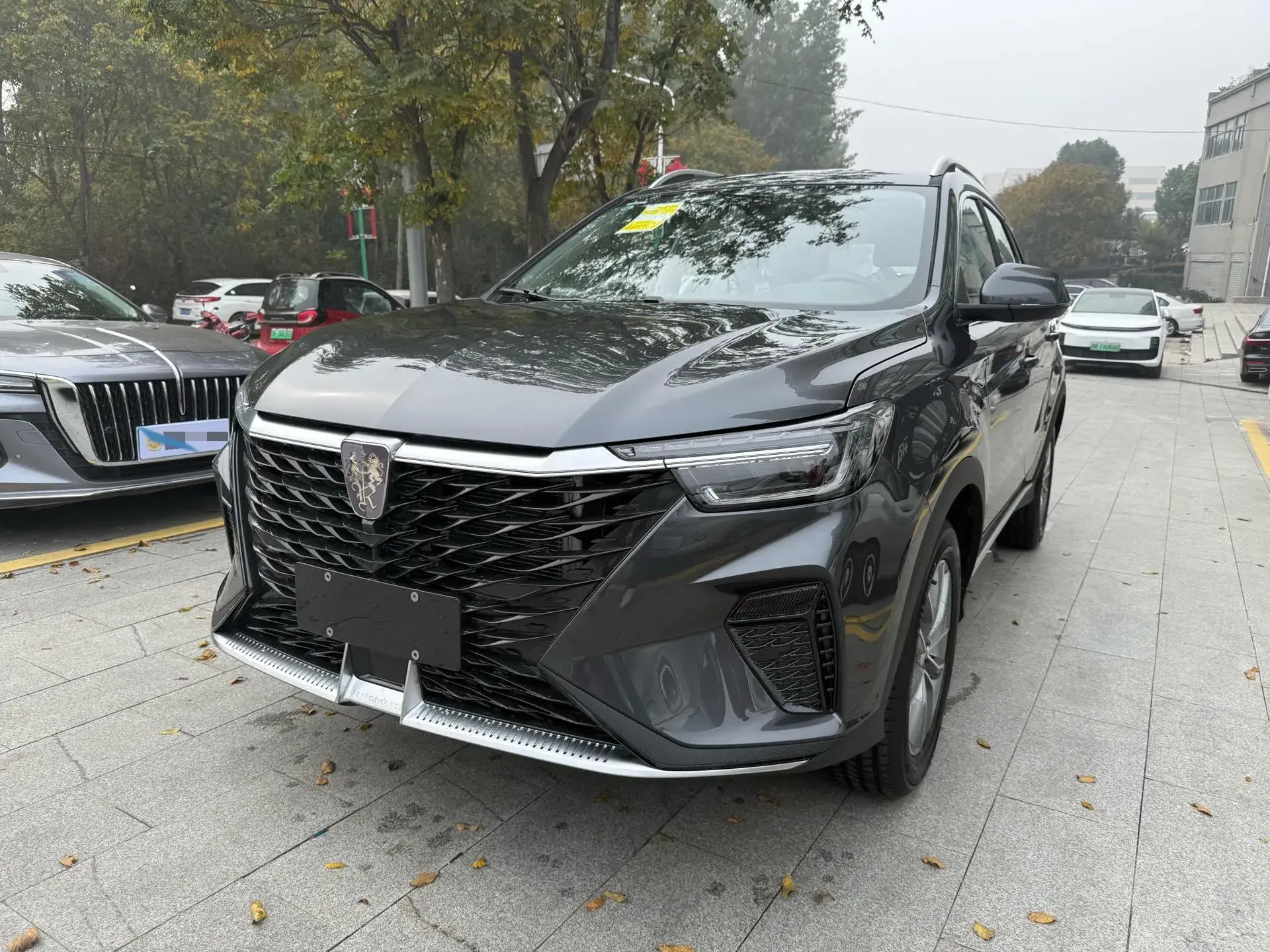 2025 ROEWE RX5 view 1