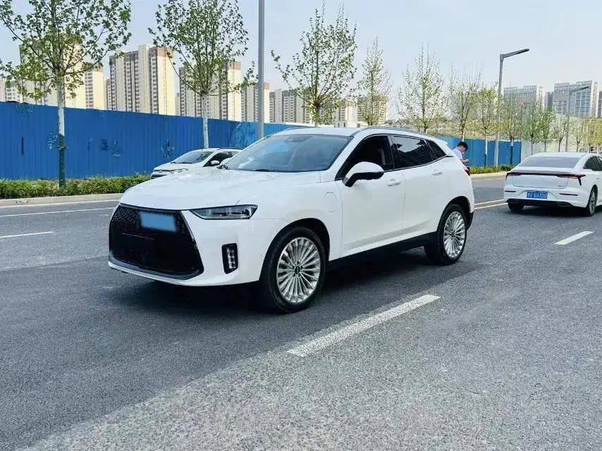 2018 WEY P8 2.0T 234HP L4 6DCT PHEV 12.96KWH