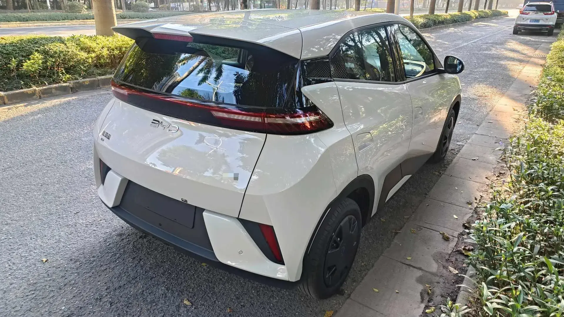 2025 BYD SEAGULL thumbnail 4