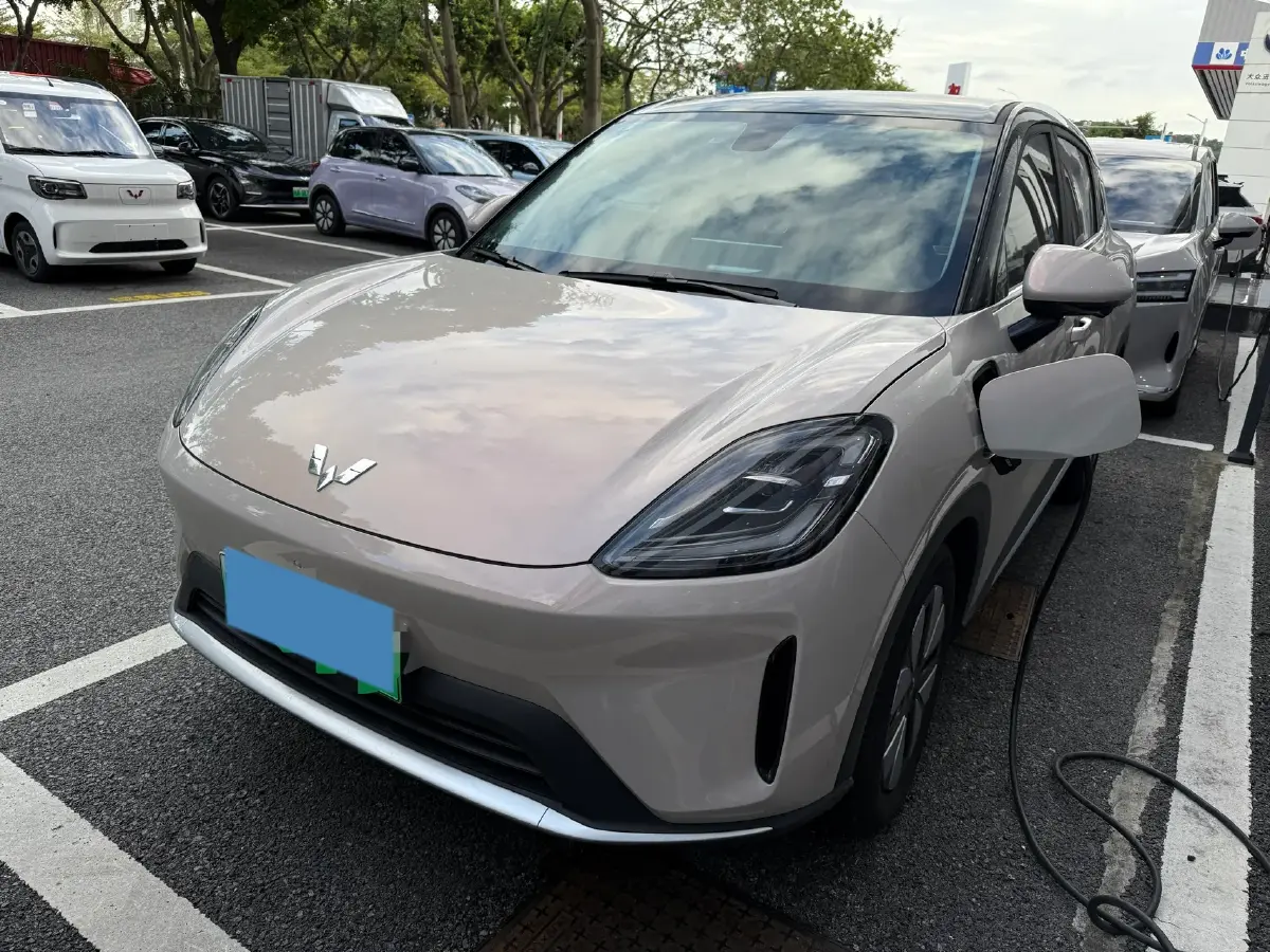 2025 WuLing BinGuo S BEV