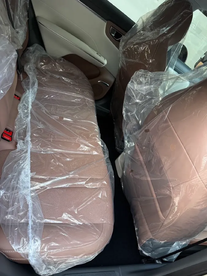 2025 WuLing BinGuo S BEV,autocango,china used car exporter,china ev exporter,chinese used car exporter,chinese used ev exporter