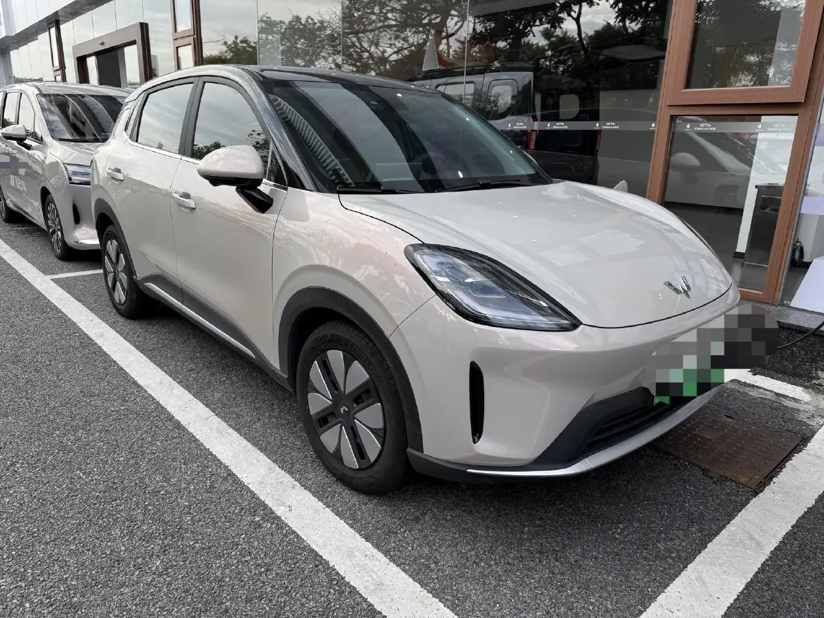 2025 WuLing BinGuo S BEV,autocango,china used car exporter,china ev exporter,chinese used car exporter,chinese used ev exporter