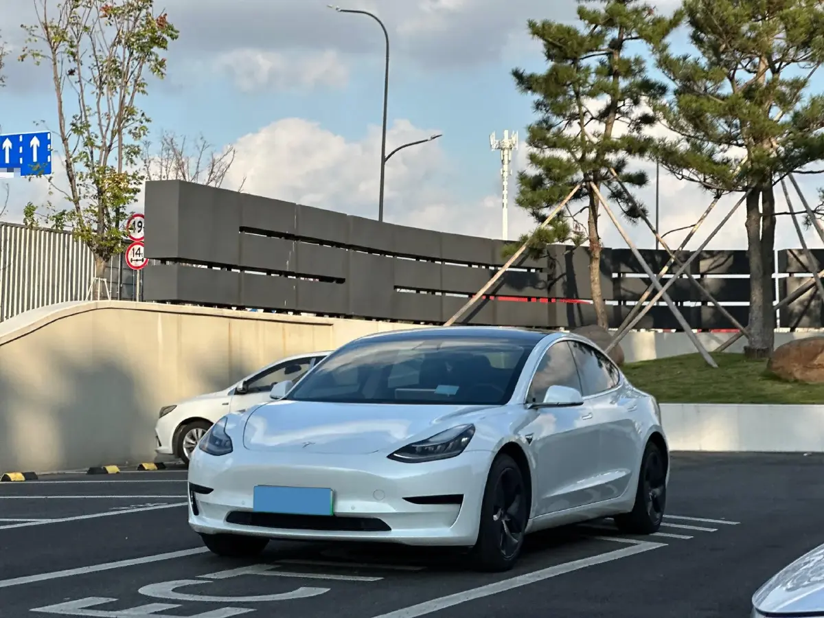 2020 Tesla Model 3 BEV 55KWH